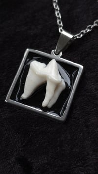 Image 1 of Fox tooth square necklace