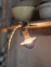 Image 1 of La baladeuse champignon