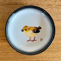 Forty-spotted Pardalote Trinket Dish