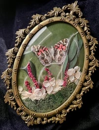 Image 1 of Small American Lady Butterfly Botanical Frame