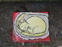 Image 1 of Cat Sleeping