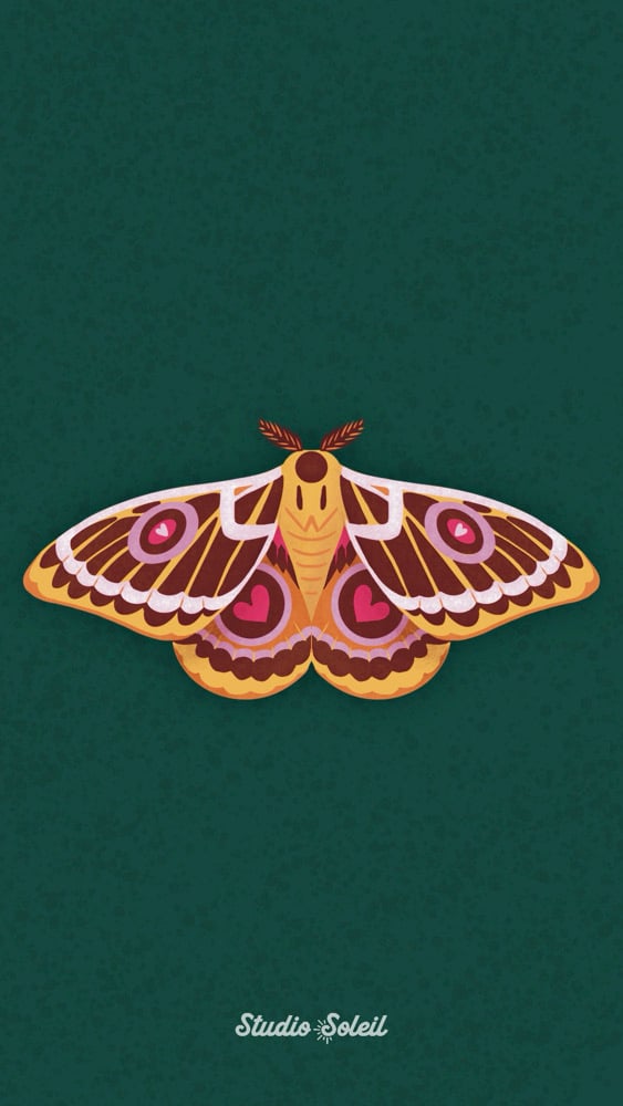 Image of Rosy Moth 4x6 Print