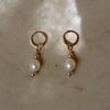 Gold filled Huggies with 8.5mm Freshwater Pearl Earrings from