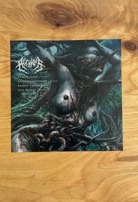 Image 4 of VINYL - Whiteout