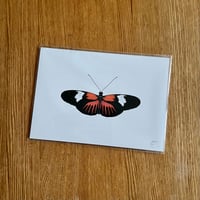 Image 3 of Butterfly Print #4 - Various Designs