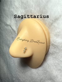 Image 6 of Zodiac Signs Nose Studs