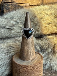 Image 1 of The Midnight Mile