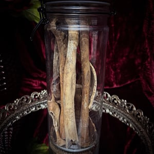 Image of Jar of Human Bones