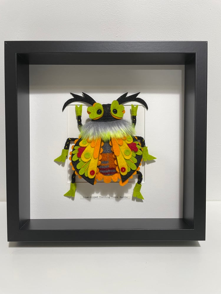 Image of Lime-tipped Trotting Track Beetle