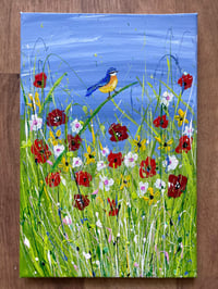 Image 2 of Blue Tit in the Poppies