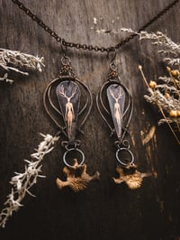 Image 1 of Matriarch