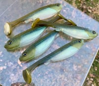 Image 1 of 5" G5 HAND POURED SWIMBAITS - GOLDEN SHINER