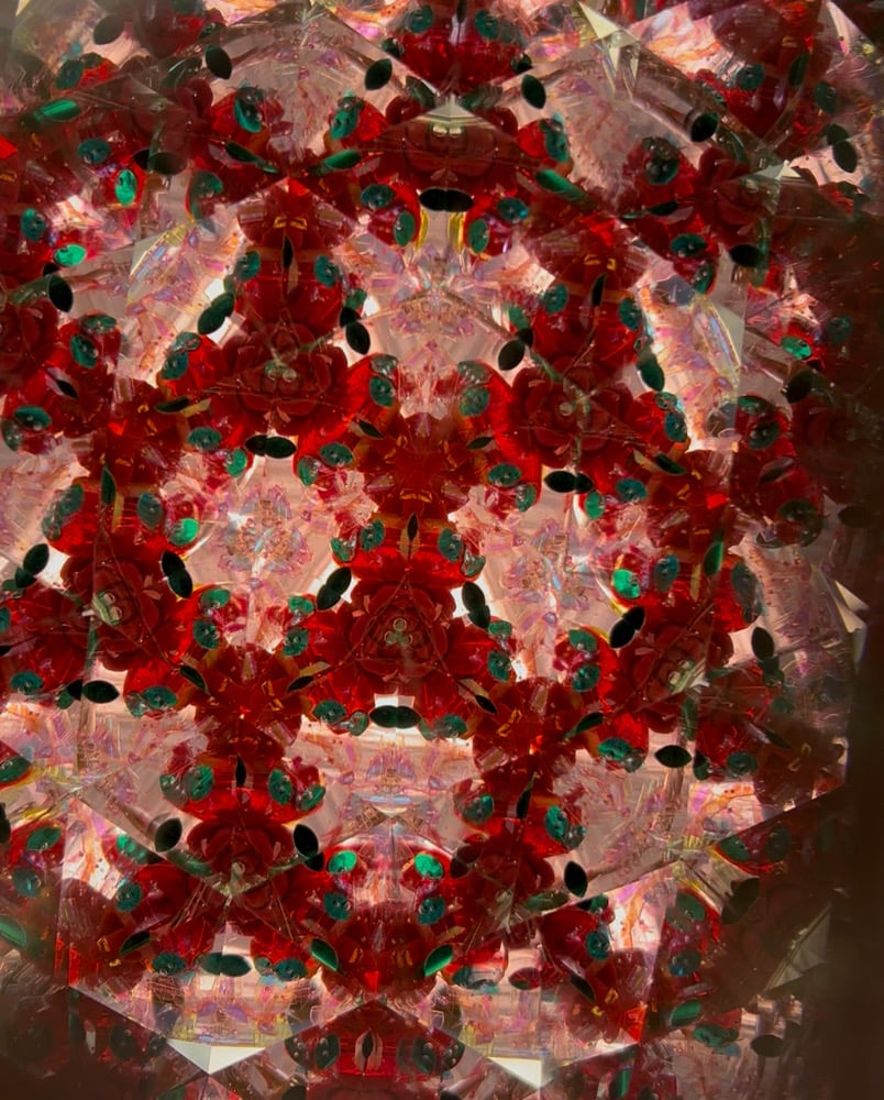 Image of Red Rose Garden AuraScope