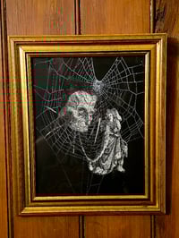 Image 2 of 1800s Gustave Dore Spiders - with real preserved webs -E