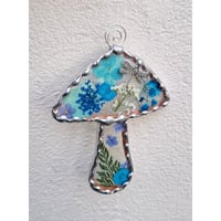 Image 2 of Small Real Flower Toadstool 