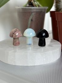 Image 3 of Assorted Mushroom Carvings