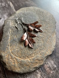 Image 1 of Autumn Leaf Earrings ~ Hawthorn
