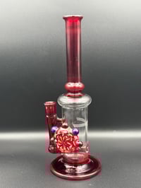 Image 5 of Ruby red mini stem line 