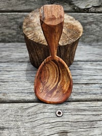Spalted Callistemon small scoop. 