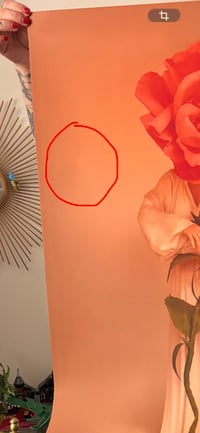 Image 2 of « Flowers and thorns » with a very small defect 