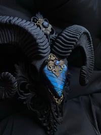 Image 1 of Ram skull with blue labradorite 