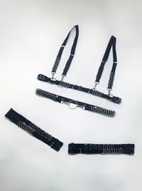 Image 3 of Elastic waist belt with D rings, O ring and carabiners