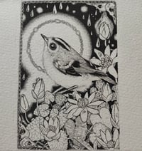 Image 4 of B&W Goldcrest and celandine