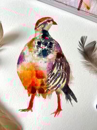 Image 5 of "Red Legged Partridge" Original