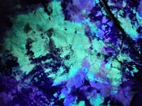 Image 3 of apOKaLYpsE tEE uv (3XL)