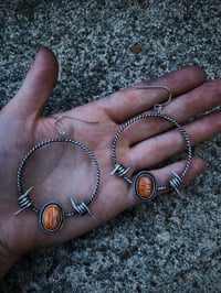 Image 2 of Spiny Oyster Barbed Wire Hoops