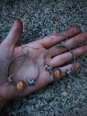 Image of Spiny Oyster Barbed Wire Hoops