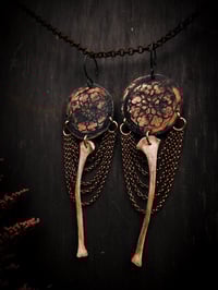 Image 1 of rose windows 2