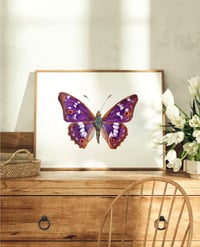 Image 1 of Apatura Ilia Butterfly Watercolor PRINT