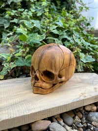 Image 1 of 1:1 scale Foetus Skull, hand carved Boxwood