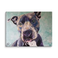 Image 2 of Smiling Blue Pitbull