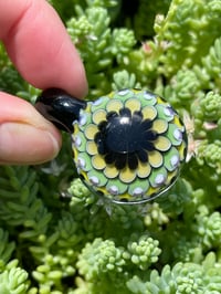 Image 7 of Flower power pack