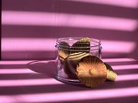 Image 7 of Flower Pot 
