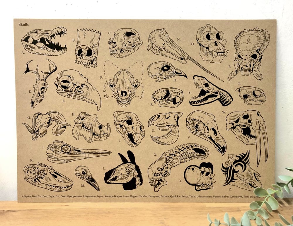 A-Z of skulls A3 print