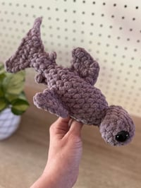 Image 1 of Hunter the Hammerhead