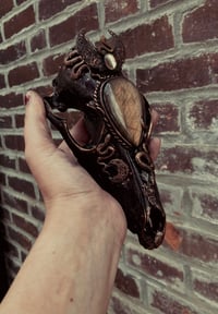 Image 3 of FOREST VVITCH