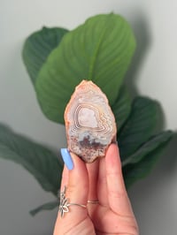 INCLUDED MOROCCAN AGATE WITH PARALAX