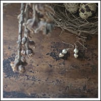 Image 1 of Satin Drops