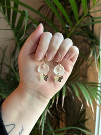 Image 3 of clamshells 