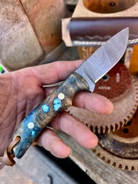 Image 4 of 2.75” Damascus drop point