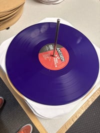 Image 3 of EAT MORE POSSUM 2026 Remastered LP