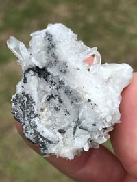 Image 5 of Huebnerite & Fine Quartz Points Specimen #2617