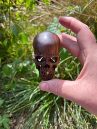 Image 4 of large Lignum Vitae Skull