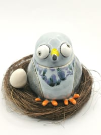 Image 1 of Pigeon 3
