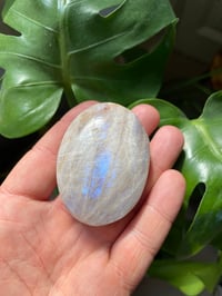 Image 2 of Moonstone Palm Crystal (5)
