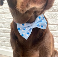 Image 4 of Love the Bones of You, Bow Ties / Sailor Bows